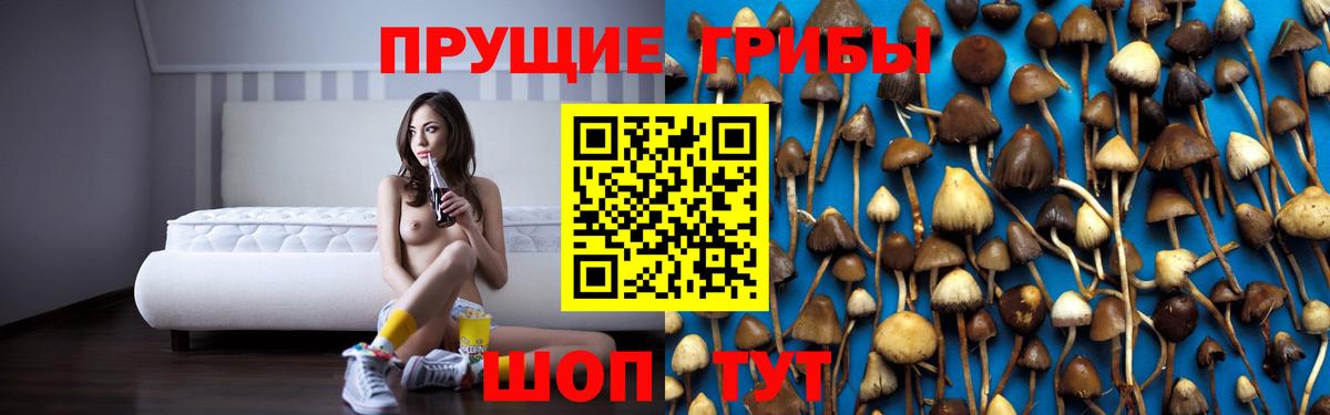 Тихорецк  купить   Вход с VPN  Галлюциногенные грибы ЛСД 